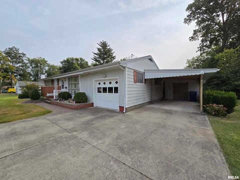 Tiny photo for 10 PARK LANE Avenue, Centralia, IL 62801 (MLS # EB460730)