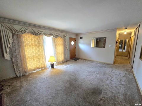 Tiny photo for 10 PARK LANE Avenue, Centralia, IL 62801 (MLS # EB460730)