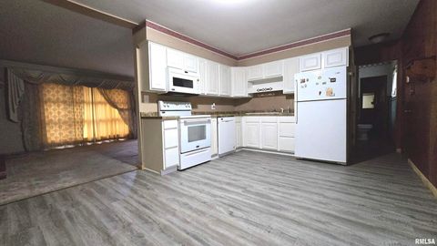 Tiny photo for 10 PARK LANE Avenue, Centralia, IL 62801 (MLS # EB460730)