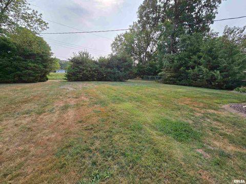 Tiny photo for 10 PARK LANE Avenue, Centralia, IL 62801 (MLS # EB460730)