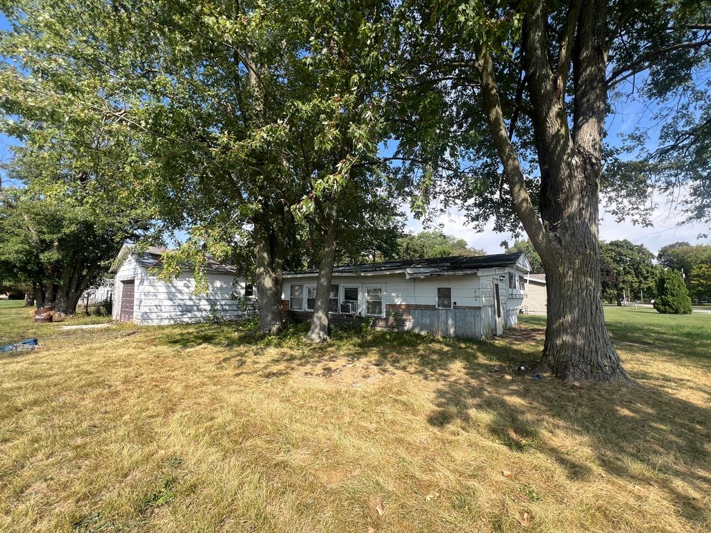 Photo for 315 W Main Street, Sheldon, IL 60966 (MLS # 12475261)