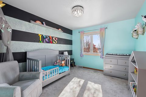 Tiny photo for 317 Francis Court, Manhattan, IL 60442 (MLS # 12499114)