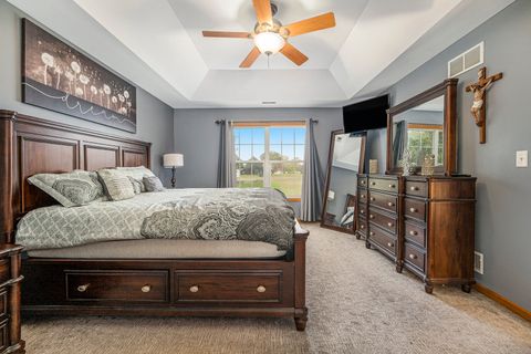 Tiny photo for 257 Pine Street, Beecher, IL 60401 (MLS # 12502208)