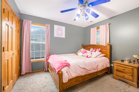 Tiny photo for 257 Pine Street, Beecher, IL 60401 (MLS # 12502208)