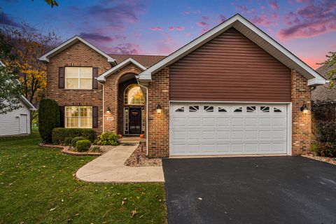 Tiny photo for 257 Pine Street, Beecher, IL 60401 (MLS # 12502208)