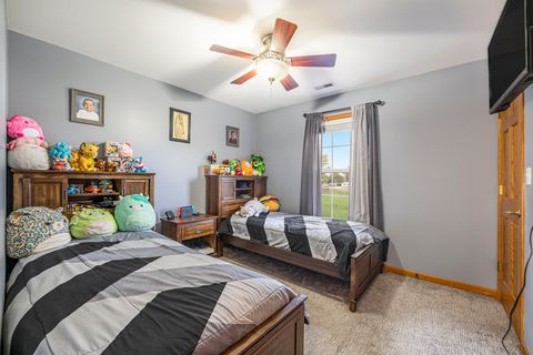 Tiny photo for 257 Pine Street, Beecher, IL 60401 (MLS # 12502208)