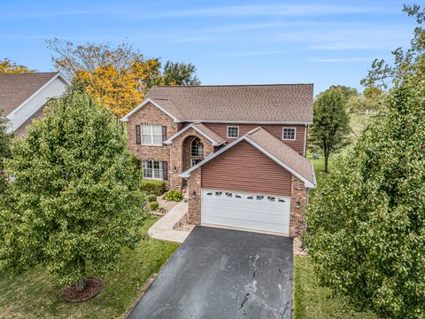Tiny photo for 257 Pine Street, Beecher, IL 60401 (MLS # 12502208)