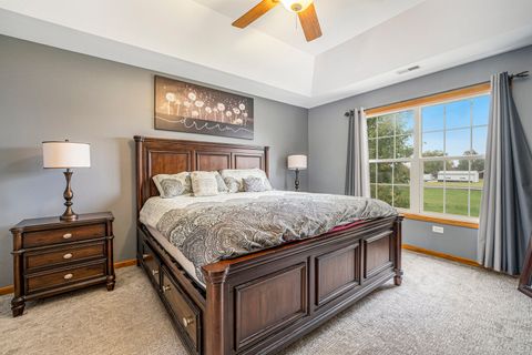 Tiny photo for 257 Pine Street, Beecher, IL 60401 (MLS # 12502208)