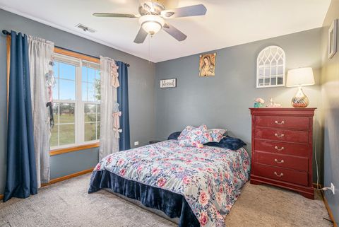 Tiny photo for 257 Pine Street, Beecher, IL 60401 (MLS # 12502208)
