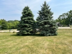 704 Russell Court