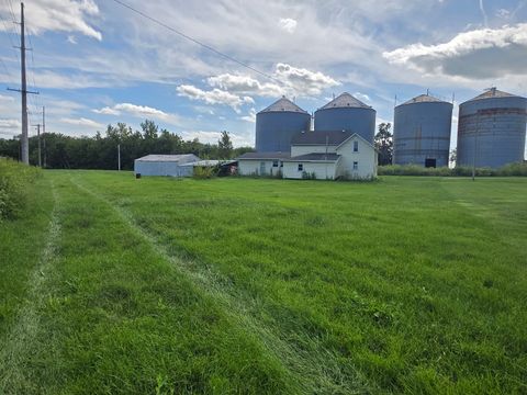 Tiny photo for 802 Railroad Street, Beaverville, IL 60912 (MLS # 12494756)