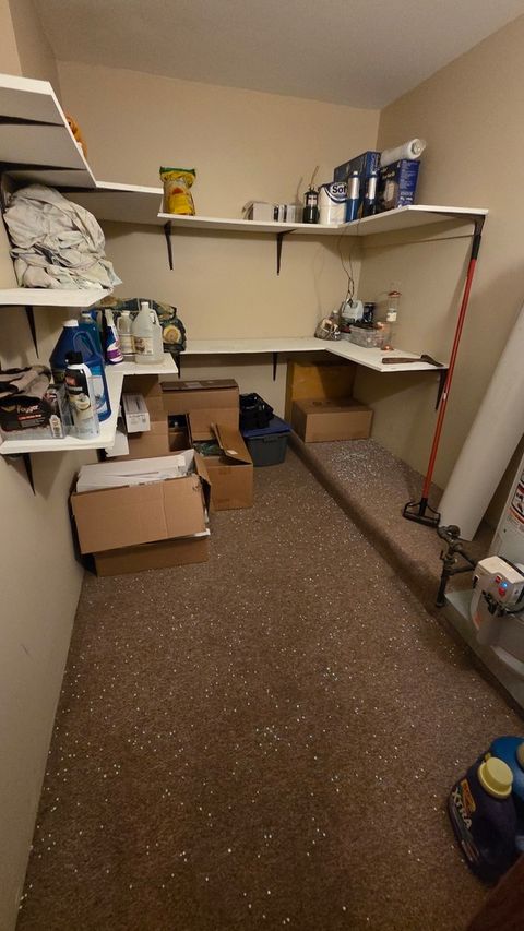 Tiny photo for 2502 E VANDRUNEN Drive, Crete, IL 60417 (MLS # 12504762)