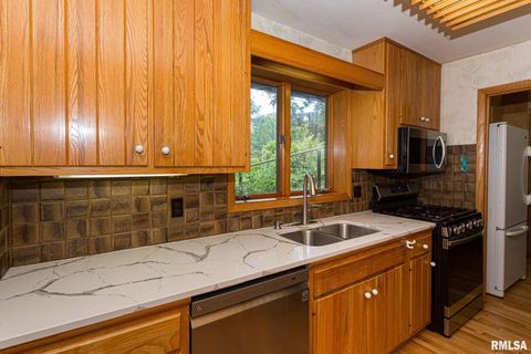 Tiny photo for 28018 230TH Street, Le Claire, IA 52753 (MLS # QC4269478)