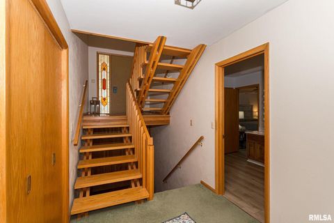 Tiny photo for 28018 230TH Street, Le Claire, IA 52753 (MLS # QC4269478)