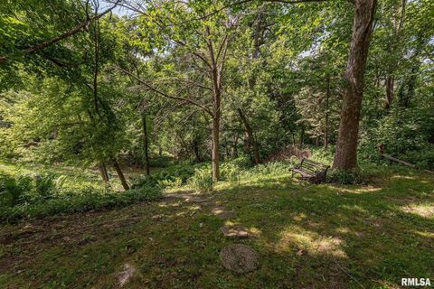 Tiny photo for 28018 230TH Street, Le Claire, IA 52753 (MLS # QC4269478)