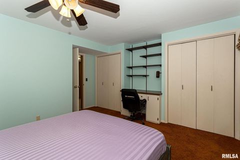 Tiny photo for 28018 230TH Street, Le Claire, IA 52753 (MLS # QC4269478)