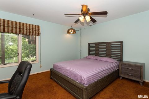 Tiny photo for 28018 230TH Street, Le Claire, IA 52753 (MLS # QC4269478)