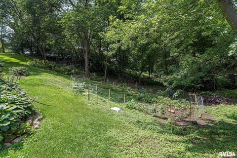 Tiny photo for 28018 230TH Street, Le Claire, IA 52753 (MLS # QC4269478)