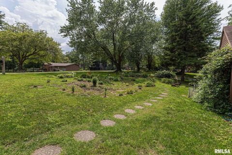 Tiny photo for 28018 230TH Street, Le Claire, IA 52753 (MLS # QC4269478)