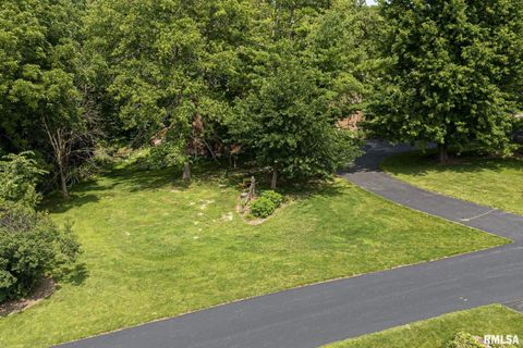 Tiny photo for 28018 230TH Street, Le Claire, IA 52753 (MLS # QC4269478)