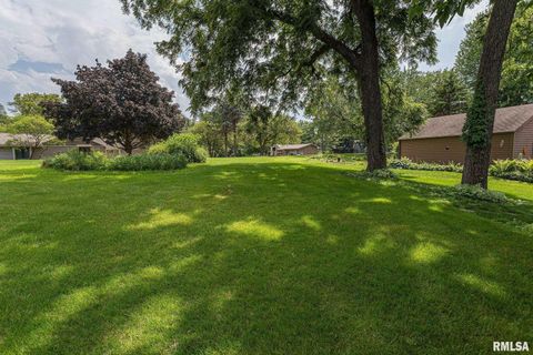 Tiny photo for 28018 230TH Street, Le Claire, IA 52753 (MLS # QC4269478)