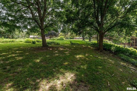 Tiny photo for 28018 230TH Street, Le Claire, IA 52753 (MLS # QC4269478)