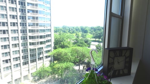 Tiny photo for 4250 N Marine Drive #911, Chicago, IL 60613 (MLS # 12692072)