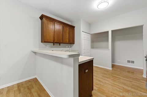 Tiny photo for 357 Ridge Road, North Aurora, IL 60542 (MLS # 12634267)
