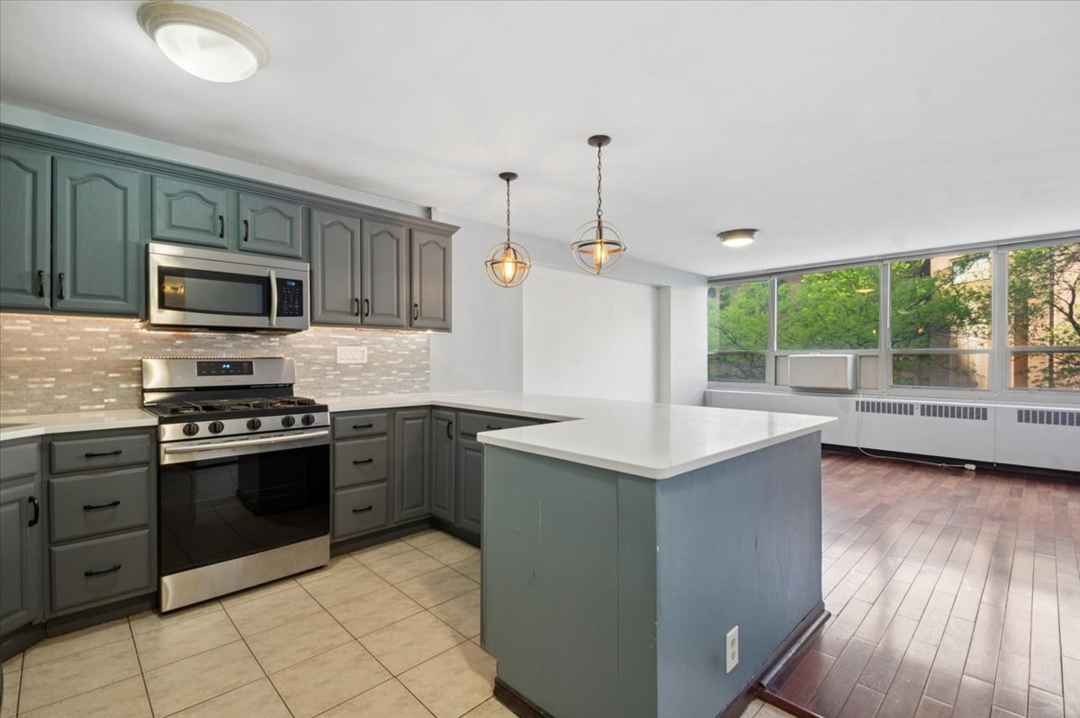 3950 N Lake Shore Drive 205A