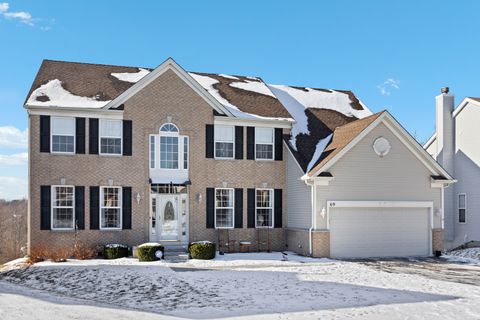 69 Telluride Court, Gilberts, IL 60136 - #: 12558987