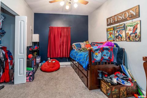 Tiny photo for 2018 CLARKE Street, Murphysboro, IL 62966 (MLS # EB460579)