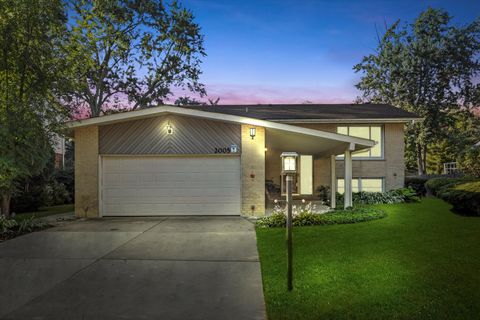 Photo of 2005 E Wintergreen Avenue, Mount Prospect, IL 60056 (MLS # 12466354)