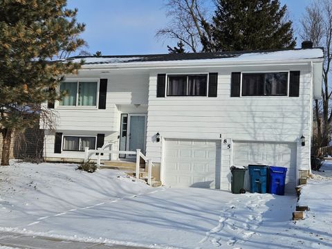 185 Ott Avenue Glen Ellyn IL 60137