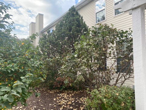 Tiny photo for 292 S Oak Creek Lane, Romeoville, IL 60446 (MLS # 12790446)