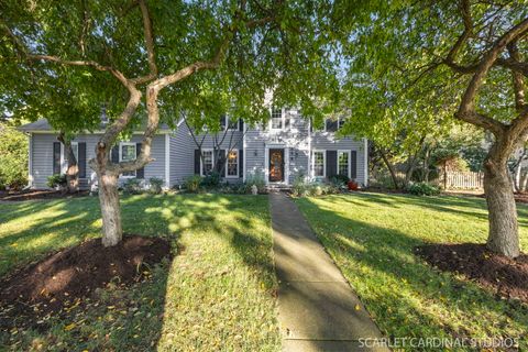 856 Cardiff Road Naperville IL 60565