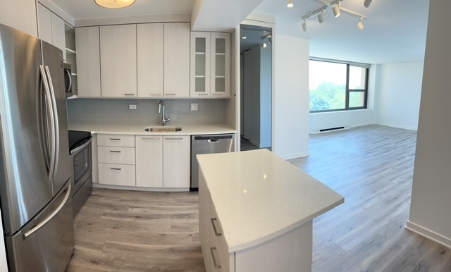 1850 N Clark Street 708