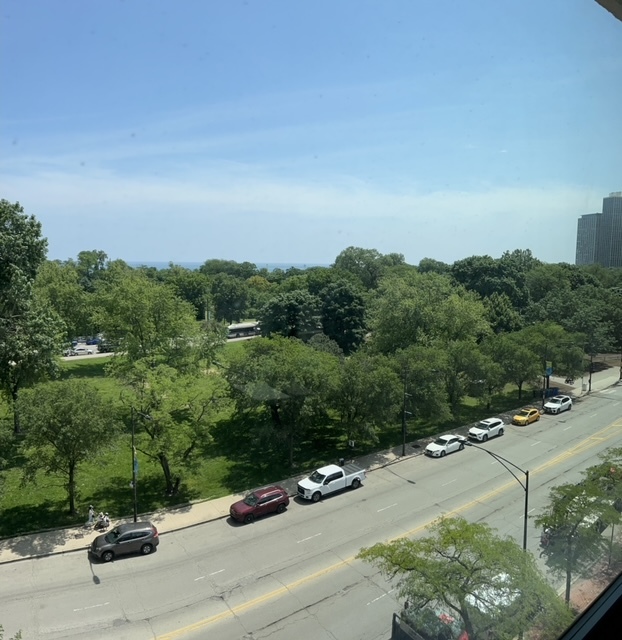 1850 N Clark Street 708