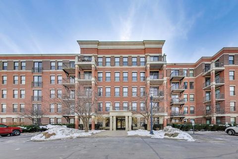 2335 W Belle Plaine Avenue 306 Chicago IL 60618