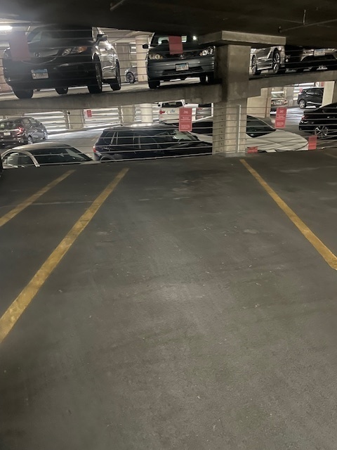 474 N Lake Shore Drive PS-286