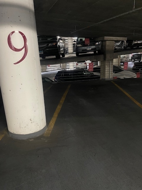 474 N Lake Shore Drive PS-286