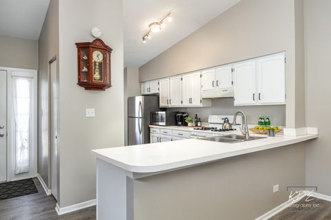 Tiny photo for 1896 Appaloosa Drive, Naperville, IL 60565 (MLS # 12578978)