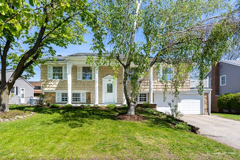 29 Timber Hill Road Buffalo Grove IL 60089
