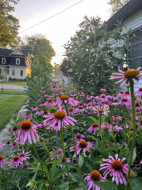 Tiny photo for 330 N Birch Street, Waterman, IL 60556 (MLS # 12589190)