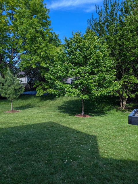 Tiny photo for 311 Briarwood Lane, Algonquin, IL 60102 (MLS # 12582947)