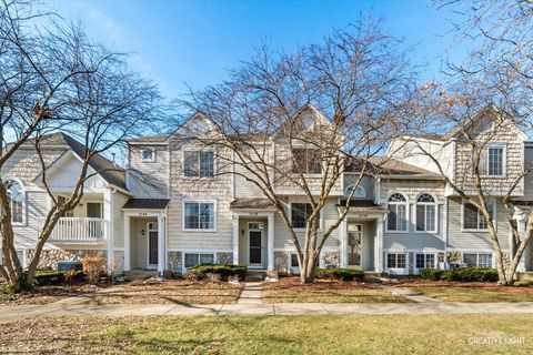 3138 Cambria Court Aurora IL 60503