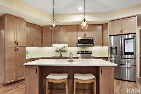 Tiny photo for 18 Enclave Court, South Barrington, IL 60010 (MLS # 12570480)