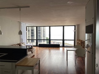 900 N Lake Shore Drive 711