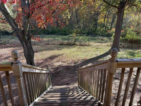 Tiny photo for 606 W KENNEDY Drive, Desoto, IL 62966 (MLS # QC4269238)