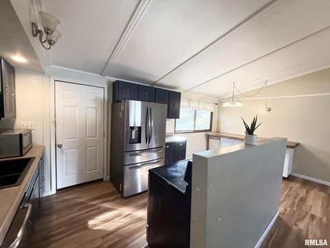 Tiny photo for 606 W KENNEDY Drive, Desoto, IL 62966 (MLS # QC4269238)