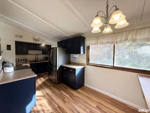 Tiny photo for 606 W KENNEDY Drive, Desoto, IL 62966 (MLS # QC4269238)